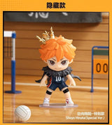 Shoyo Hinata(special.Ver)