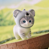 Koala cat