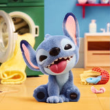 Cute Puppy
