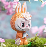 Cherry Blossoms