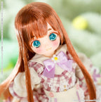 Azone Dreamin Temari Bear Collection Honey Strawberry Limited 8.2In Bjd Full Set