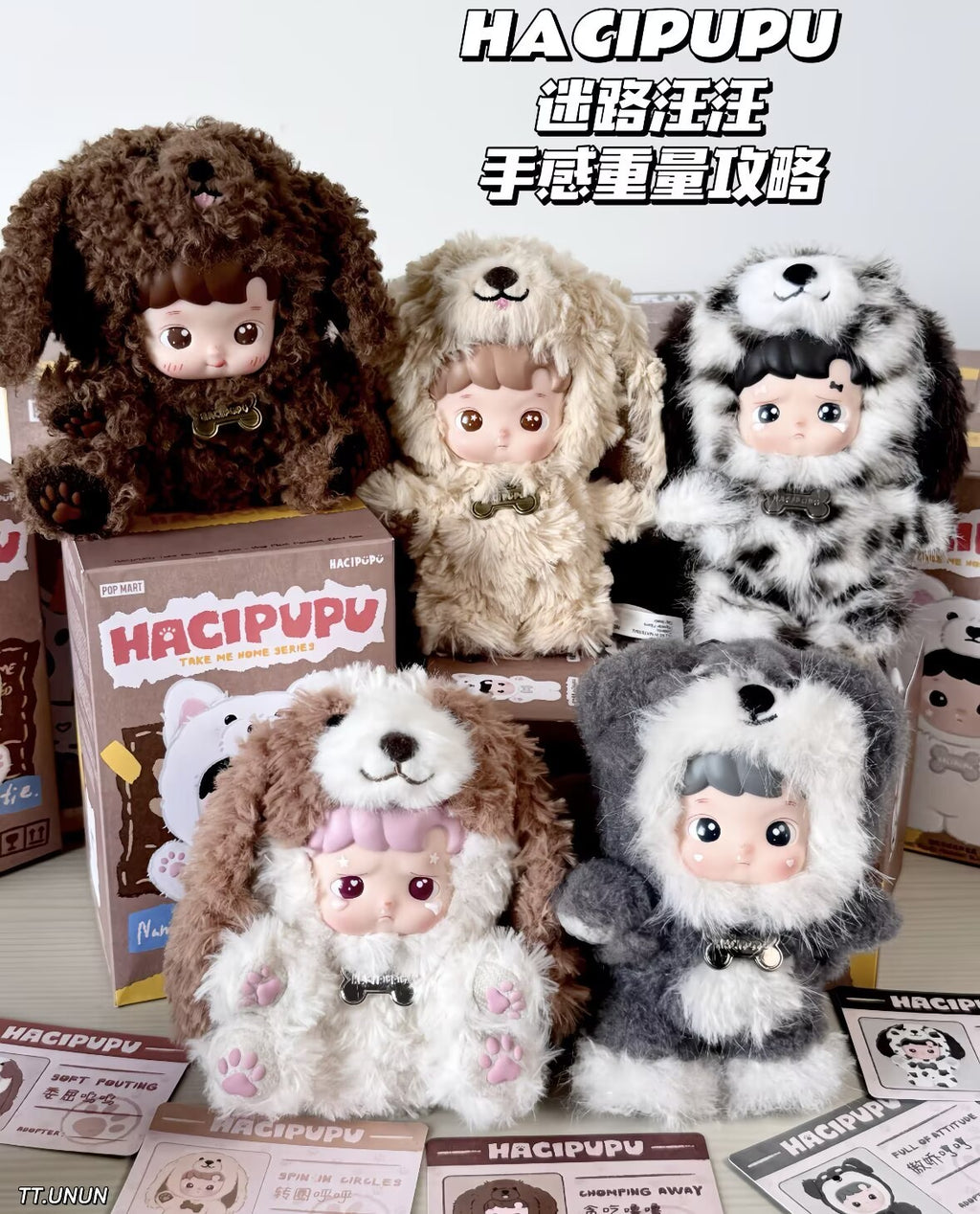 Hacipupu Take Me Home Series Blind Box Figures Toy Vinyl Plush Pendant Authentic