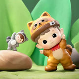 Little Raccoon