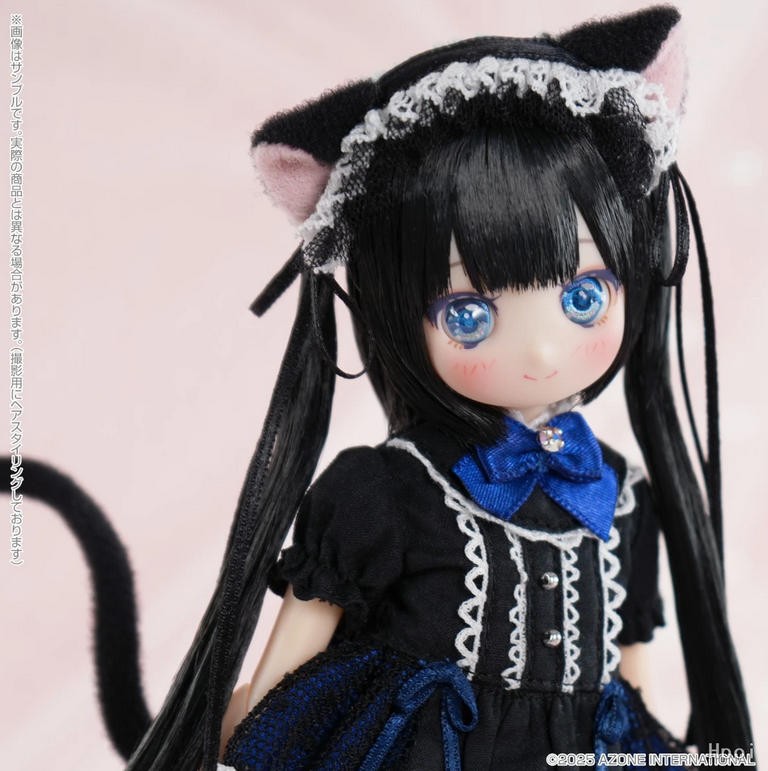 Azone Dreamin Mebae A Gift From M.k Black White Cat 21cm/8.2In 1/6 Full Set Gift