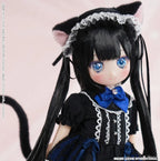 Azone Dreamin Mebae A Gift From M.k Black White Cat 21cm/8.2In 1/6 Full Set Gift