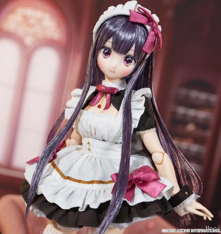 Azone Dreamin Kokone Cassis Chocolat Ver. 25cm/9.8In Cute Bjd 1/6 Full Set Gift
