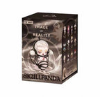 Authentic Skullpanda Image of Reality Series Blind Box Confirmed Figures Toy