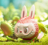 Venus Flytrap